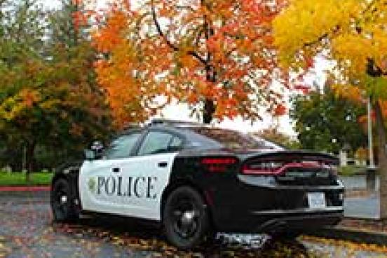 Police car with background of fall trees