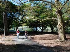 students on bikes along path.